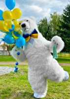 Надувний костюм Білий Ведмідь. Надувной костюм Белый Медведь фото к объявлению