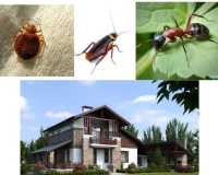 Обробка відкритих територій від кліщів, комарів, мурах та ін фото к объявлению