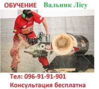 Удостоверение вальщика леса фото к объявлению