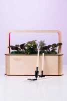 EcoBloom Smart Garden Розумний сад вдома Киев фото 2