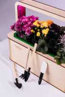 EcoBloom Smart Garden Розумний сад вдома Киев фото 3