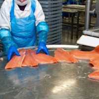 Шоковая заморозка,низькотемпературні камери для переробки риби фото к объявлению