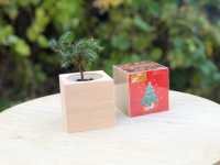 Подарунки на Миколая. Новорічні набори. DIY набори Киев фото 3