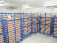 Холодильна камера Тривалого зберігання яєць (встановлення під ключ) Киев фото 3