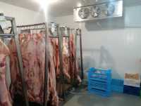 Морозильна камера - Шокова заморозка ковбас, м'яса, сирів ( Під ключ) Киев фото 2