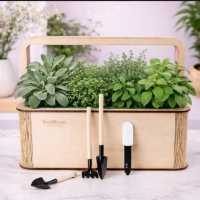 Квітучі подарункові набори на 8 березня. EcoBloom Киев фото 2